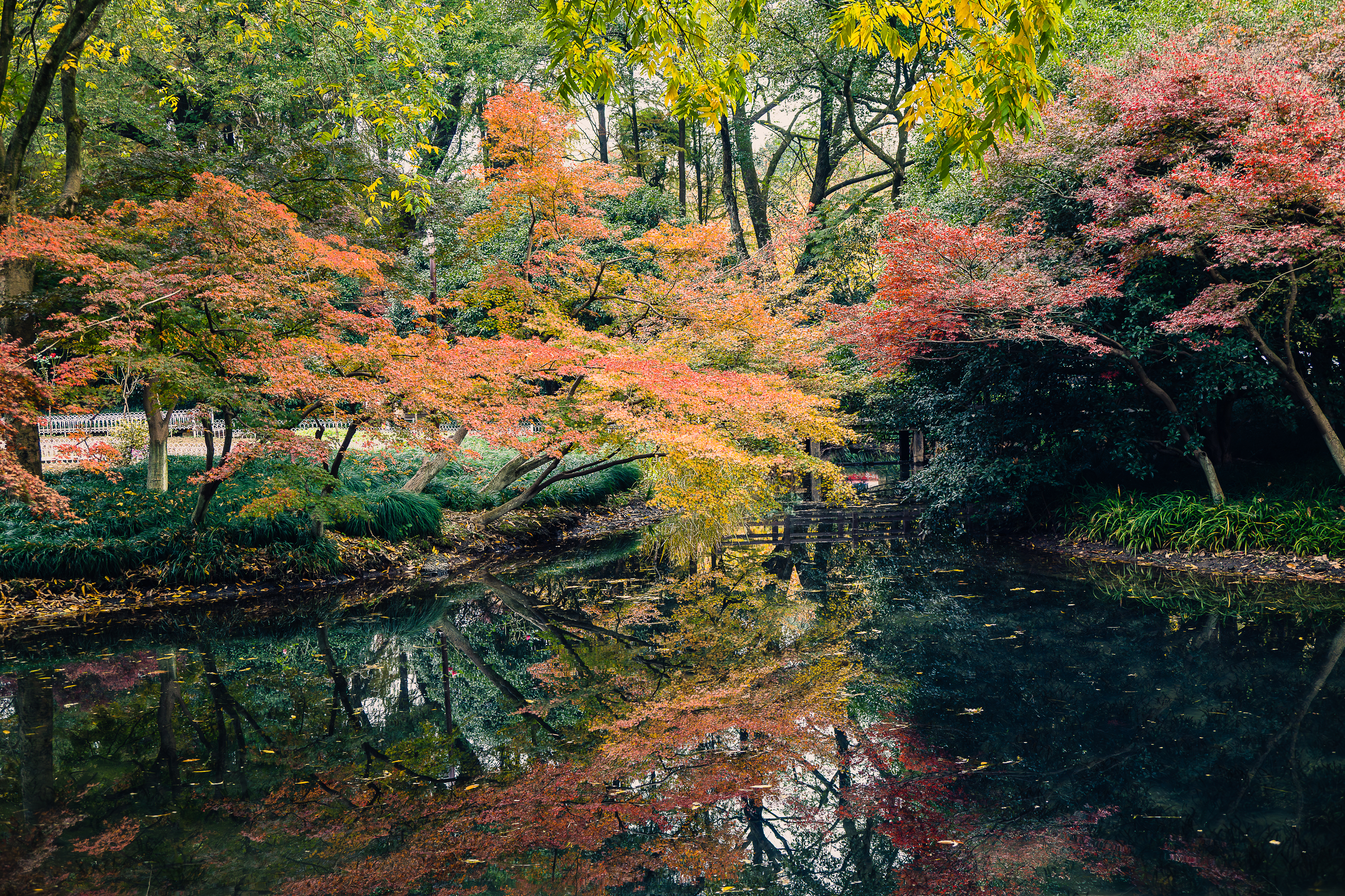 杭州 九溪十八涧 徒步